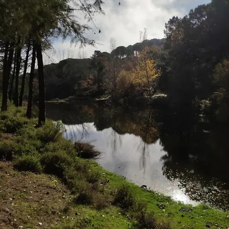 El Trepador Azul Cabeza la Vaca