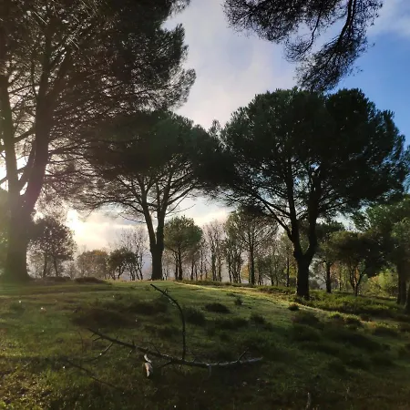 Hébergement de vacances El Trepador Azul Cabeza la Vaca