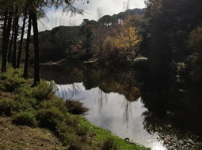 El Trepador Azul Cabeza la Vaca