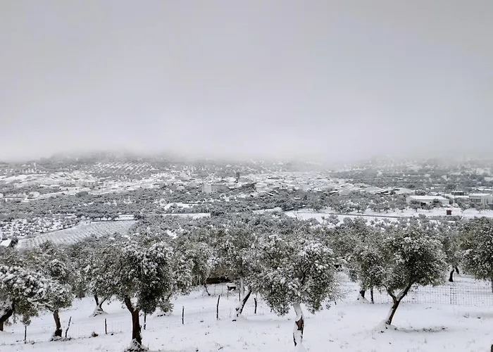 El Trepador Azul * Cabeza la Vaca